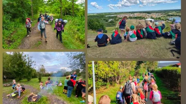 Forskellige ture med bjørnene 